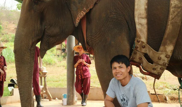 Jeab the elephant at Chiang Mai Sanctuary