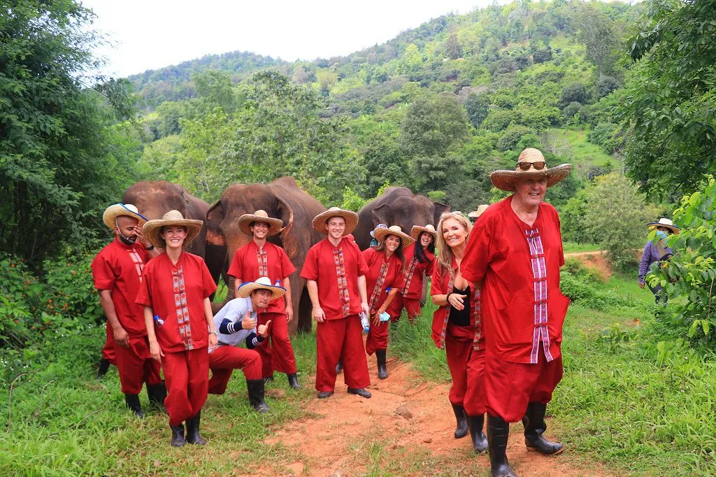 Full Day Elephant Observation