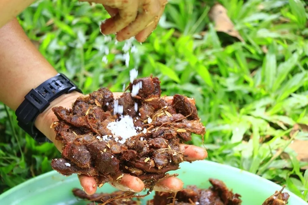 Elephant bathing pool