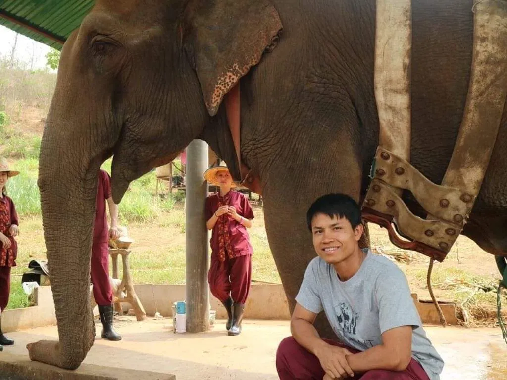 Chiang Mai Elephant Sanctuary photo 33