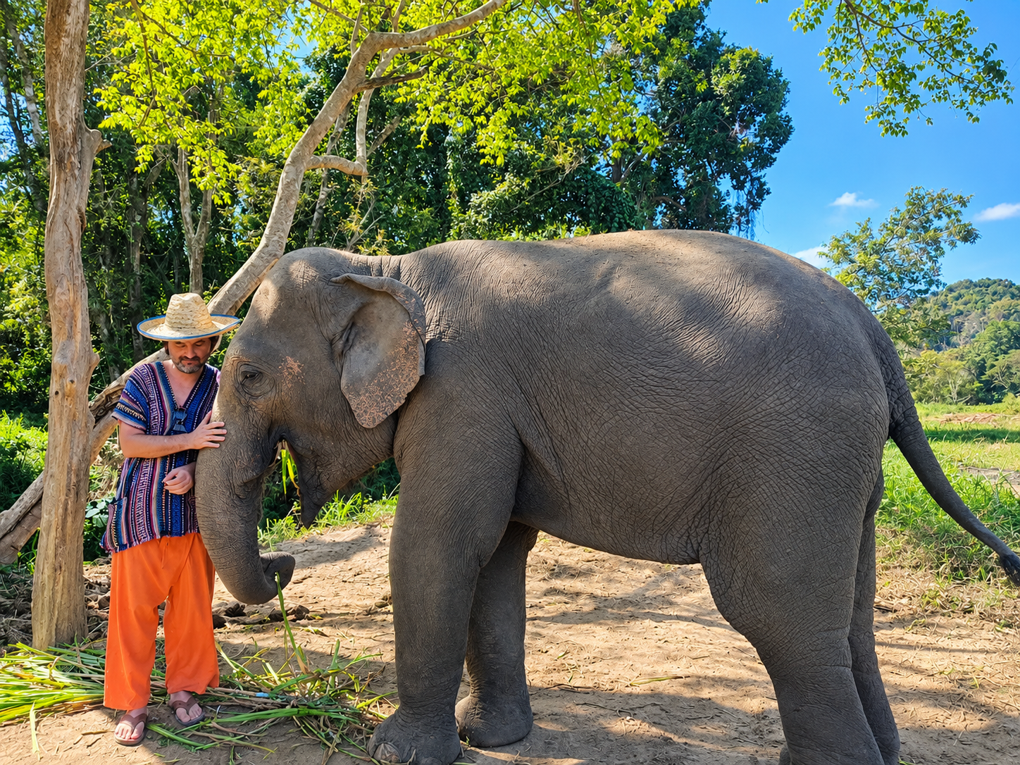 Half Day Program Tour — elephants at the sanctuary