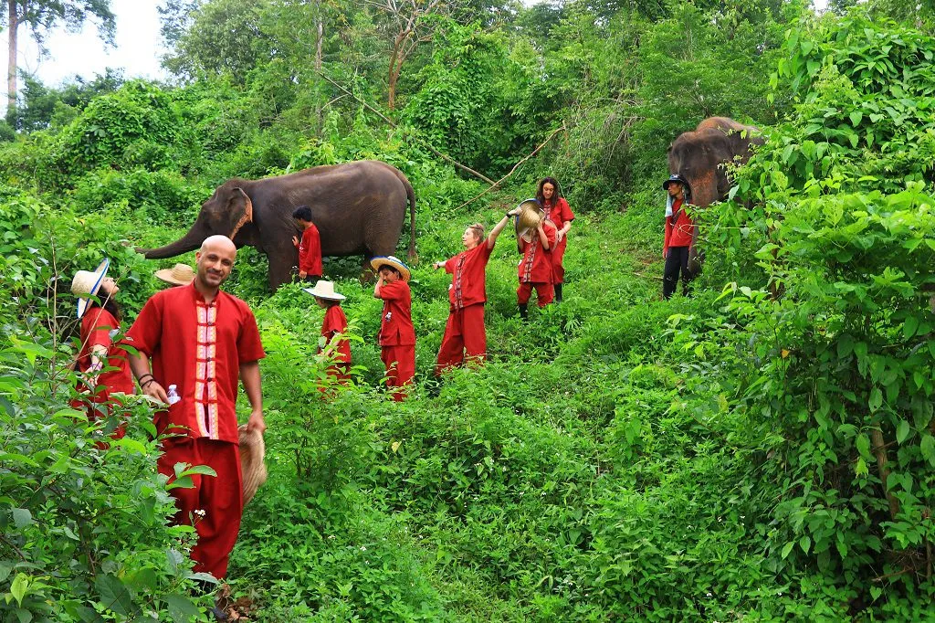 Half Day Group Tour — elephants at the sanctuary
