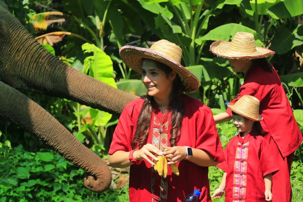 Home-cooked lunch at the park