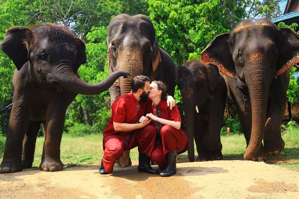 Walking with elephants through the jungle