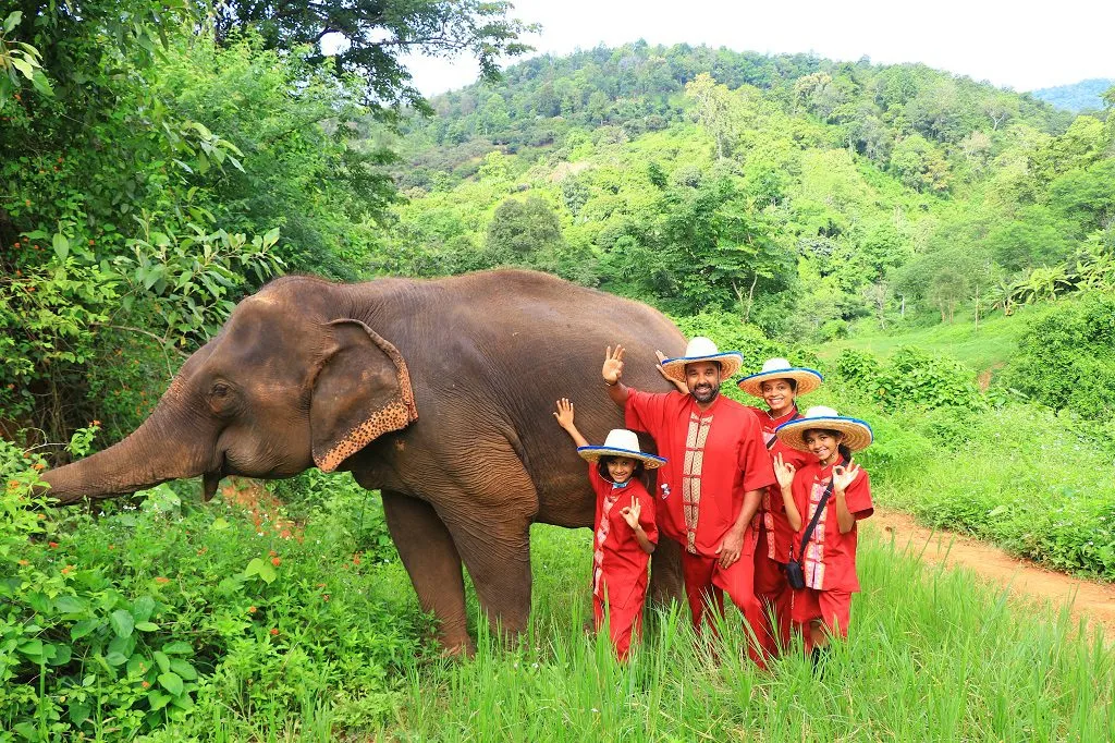 Half Day Group Tour — elephants at the sanctuary