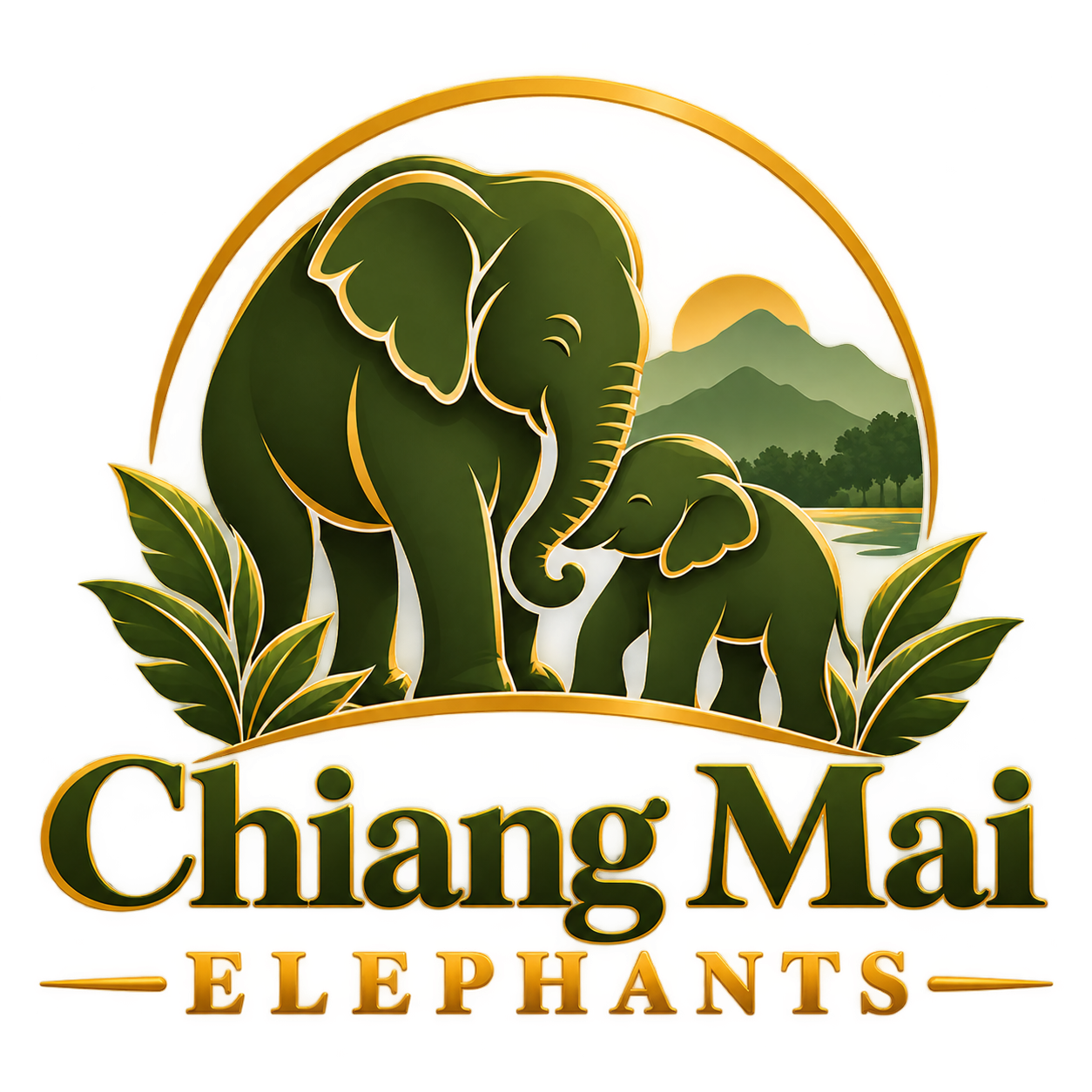 Chiang Mai Elephants