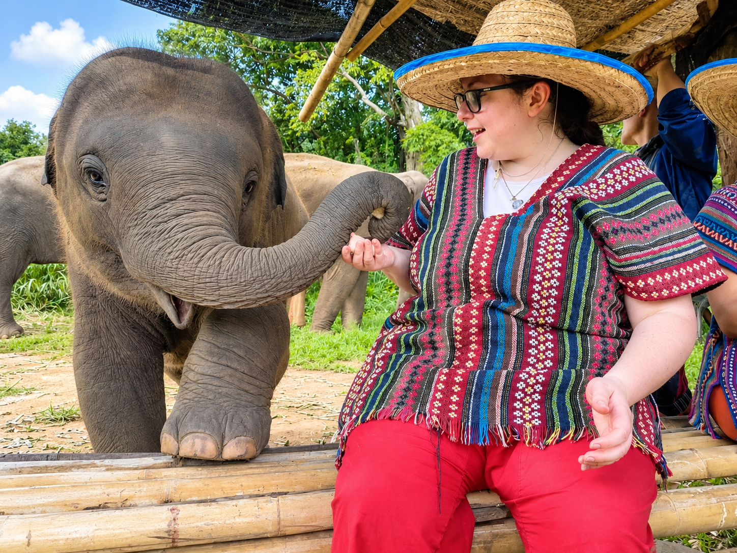 Rescued elephant living freely at the sanctuary