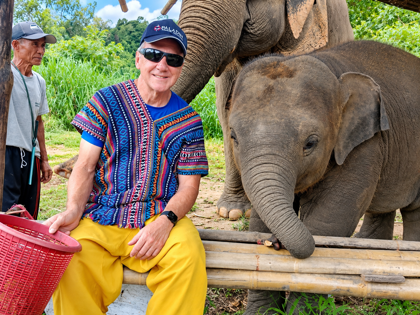 Overnight Elephant Care — elephants at the sanctuary
