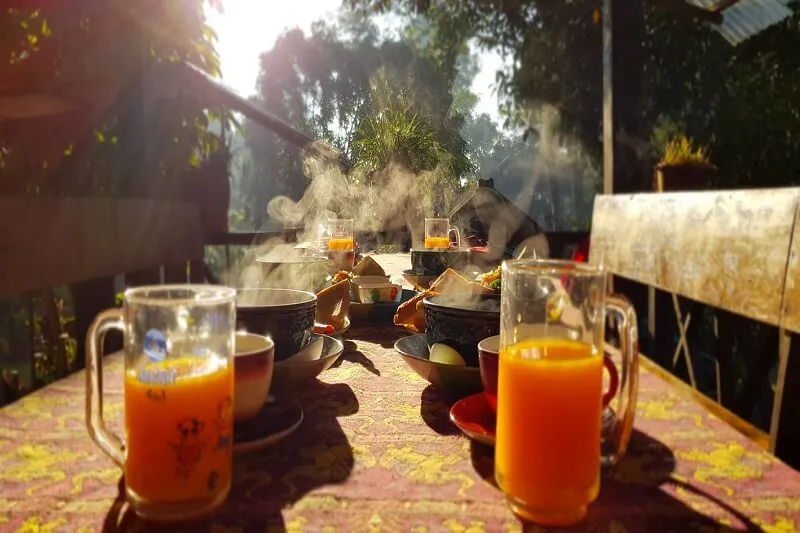 Walking with elephants