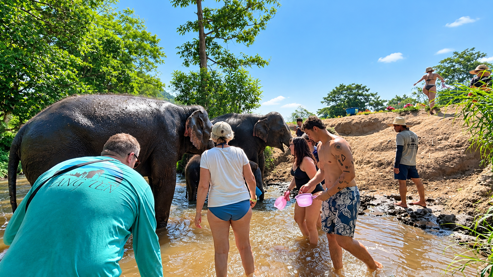 Half-Day Afternoon Elephant Observation