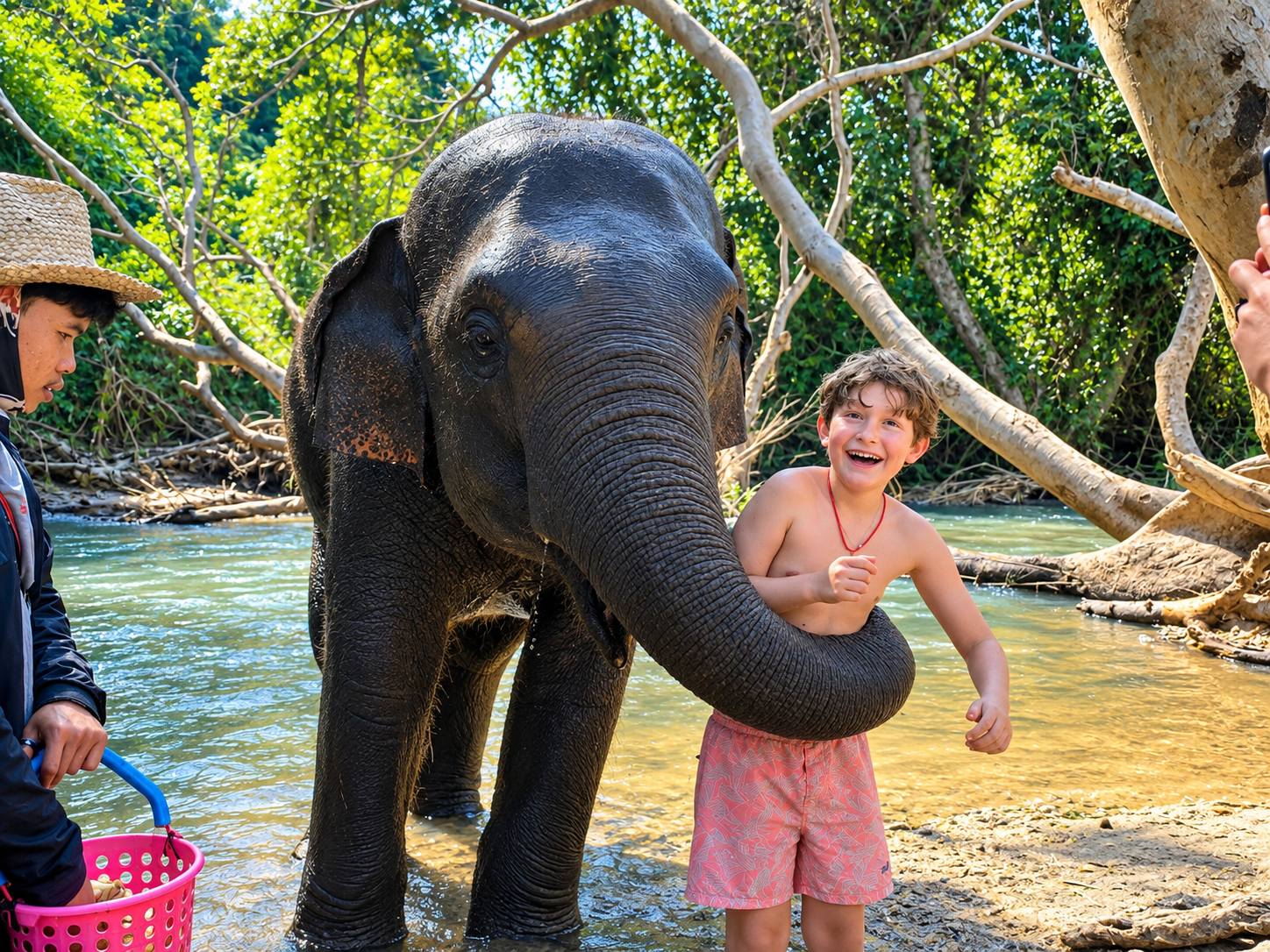 Elephants at the sanctuary during feeding and bathing